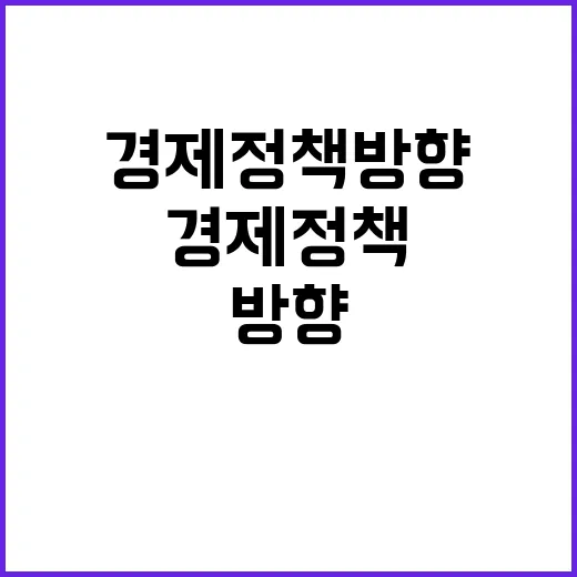 경제정책방향 결정된 바 없어! 진실은 무엇인가?