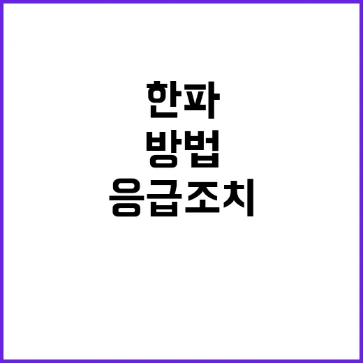 한파 주의 질환별 …