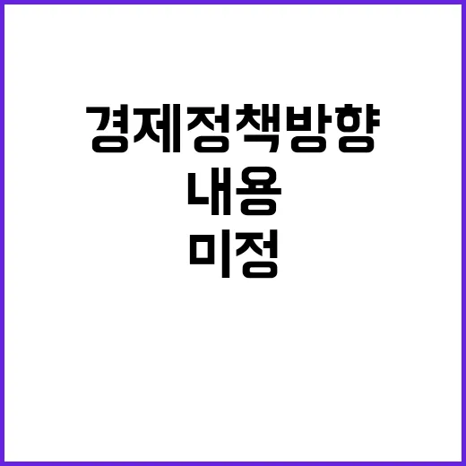 경제정책방향 구체적 내용 아직 미정이다!