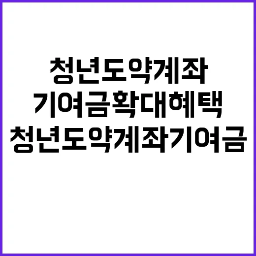 청년도약계좌 기여금…