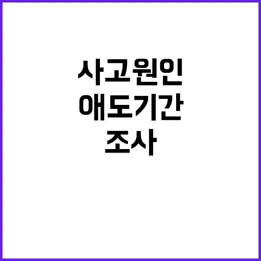 사고 원인 조사 애도기간 긴급 발표!