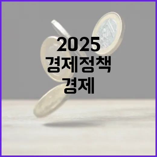 2025 경제정책 미래를 바꿀 결정적 발표!