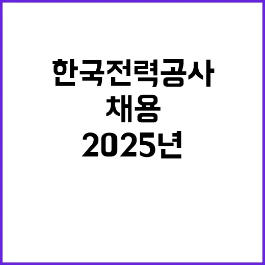 2025년도 제1차 3직급 전문인력 채용