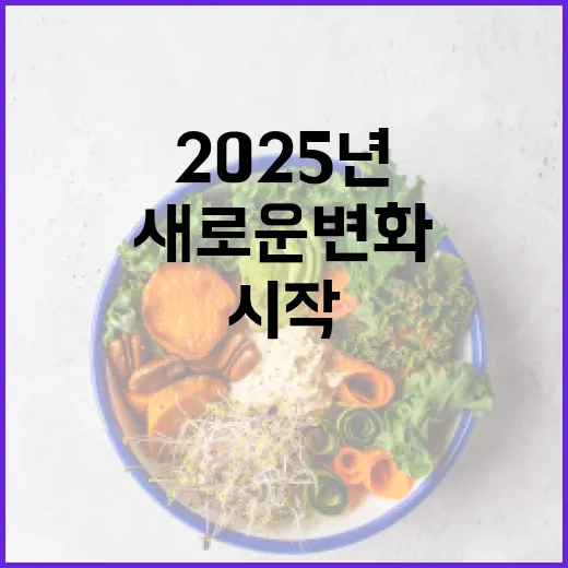 2025년 안전함 …