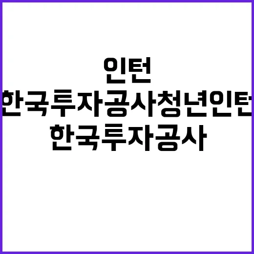 한국투자공사 2025년 청년인턴(일반/장애인) 채용