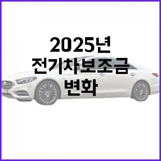 2025년 전기차 보조금 변화의 바람이 분다!