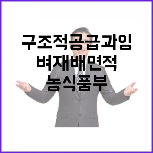 농식품부 벼 재배면…