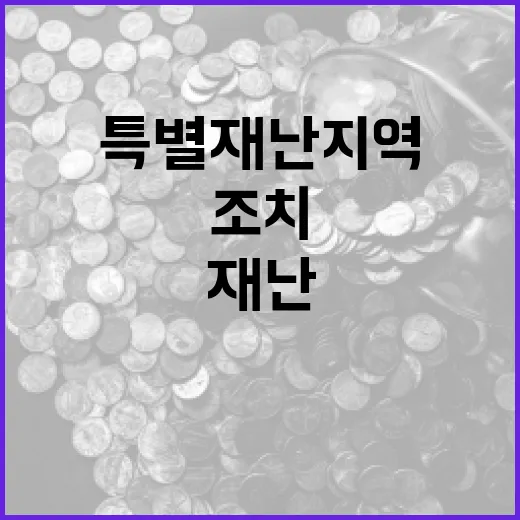 특별재난지역 체납자…