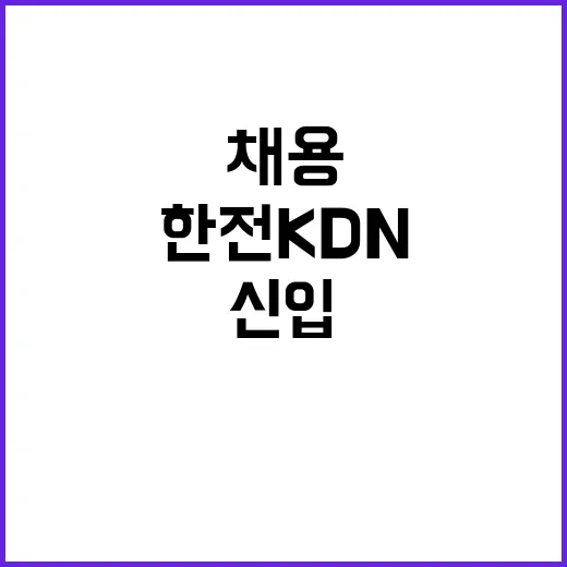 한전KDN 비정규직…