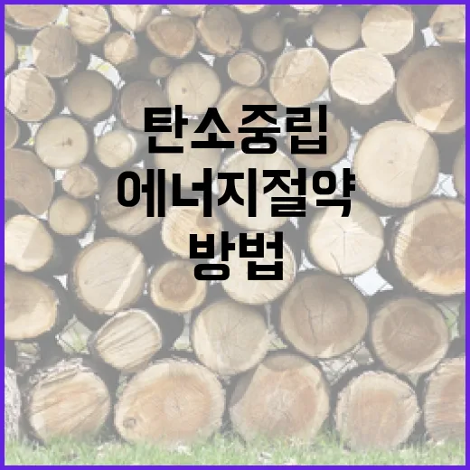 탄소중립 에너지 절…