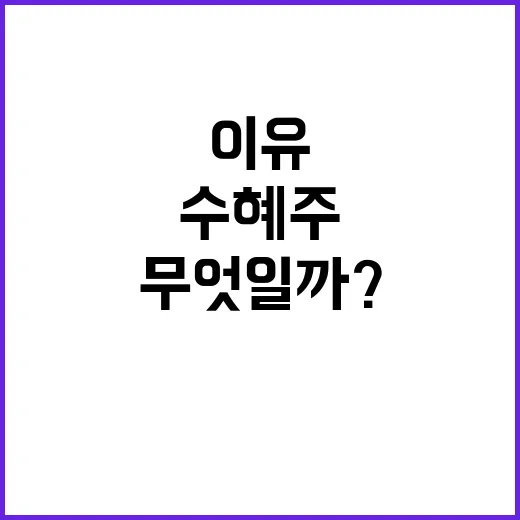 수혜주 초고수들이 주목하는 이유는 무엇일까?