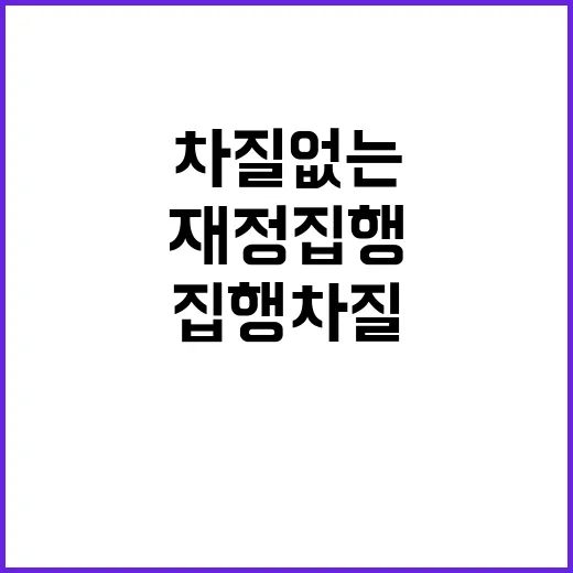 기금 정부 재정집행 차질 없는 비결 공개!