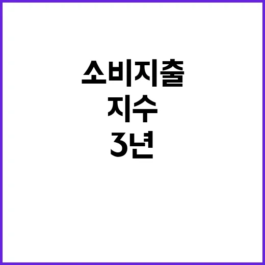 소비지출 지수 3년…