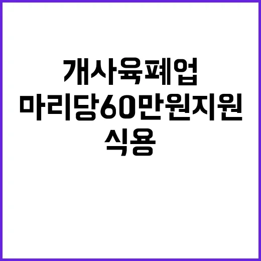 식용 개 사육 폐업…