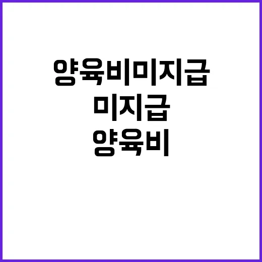 양육비 미지급 국가가 내년부터 지원한다!