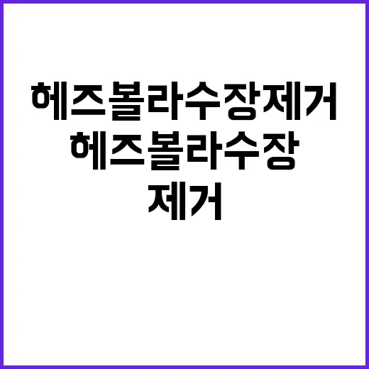 헤즈볼라 수장 제거 이란의 반응은?