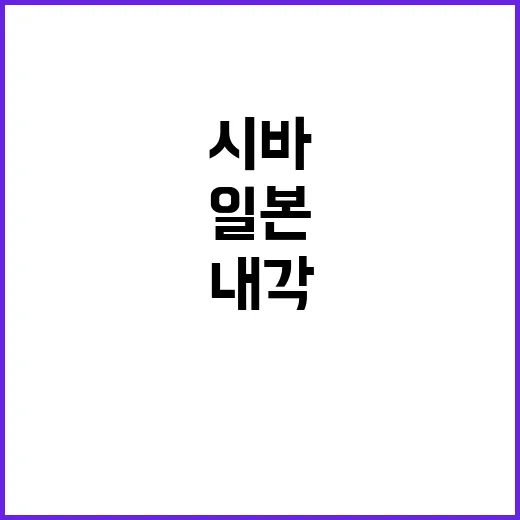 안보통 일본 시바 …