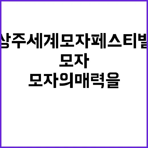 상주세계모자페스티벌…