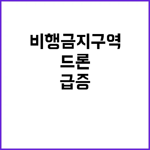 드론 침범 용산 주…