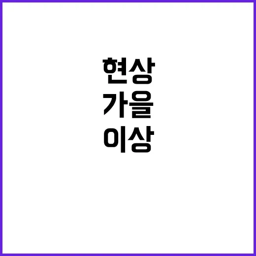 ‘가을날씨 실종’ …