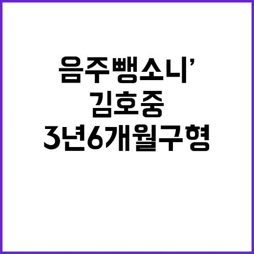 ‘김호중 음주뺑소니…