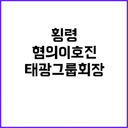 횡령 혐의 이호진 …