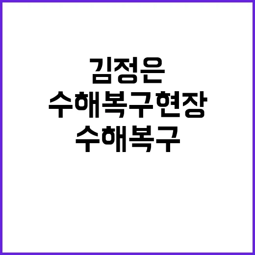 김정은 수해 복구 …