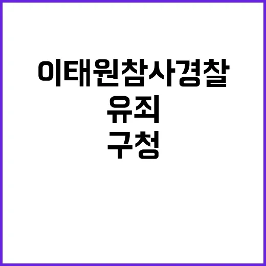 이태원 참사 경찰 …