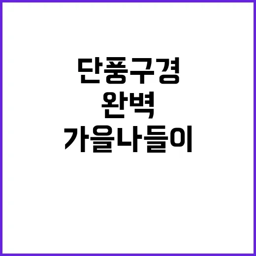 단풍 구경 가을 나…