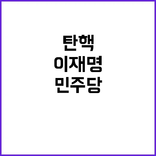 이재명 구형 민주당…