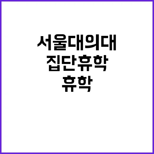 서울대 의대 집단 …