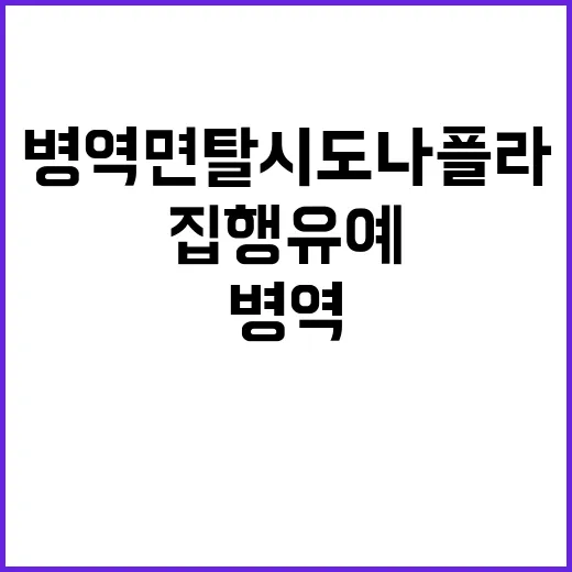 병역 면탈시도 나플…