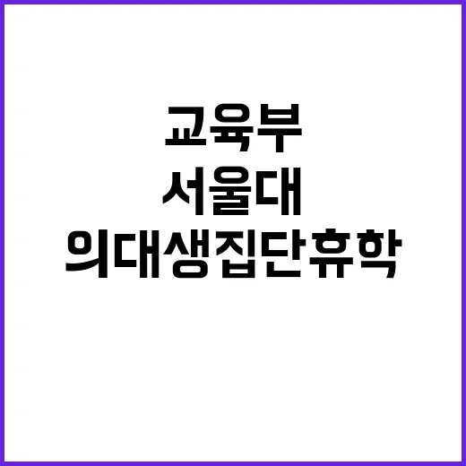 의대생 집단휴학 서…