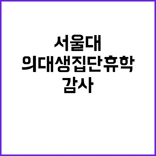 의대생 집단휴학 서…