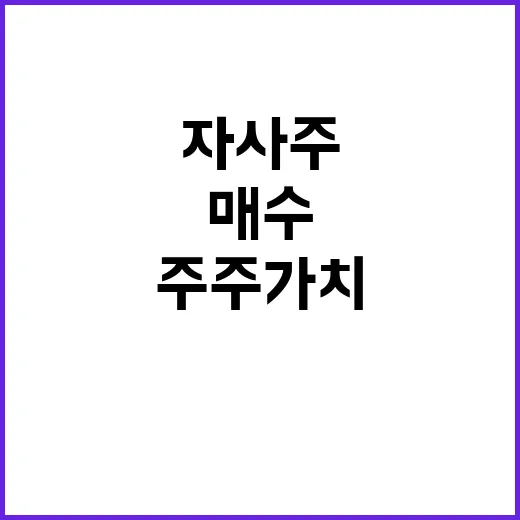 자사주 매수 주주 …