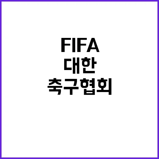 FIFA 축구협회 …