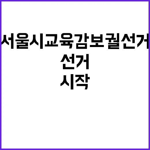 서울시 교육감 보궐…