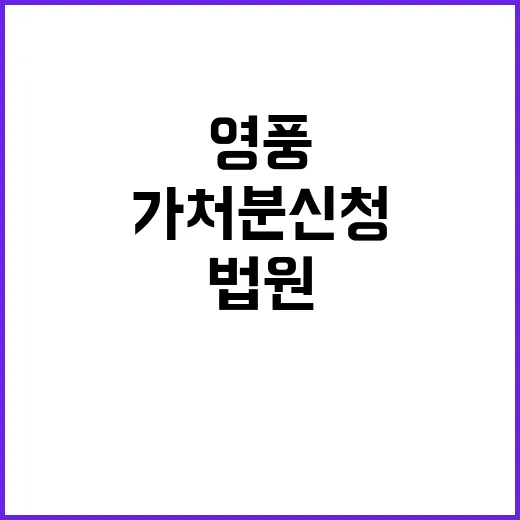 법원 결정 영풍 가…