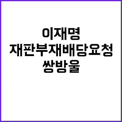 쌍방울 이재명 재판…