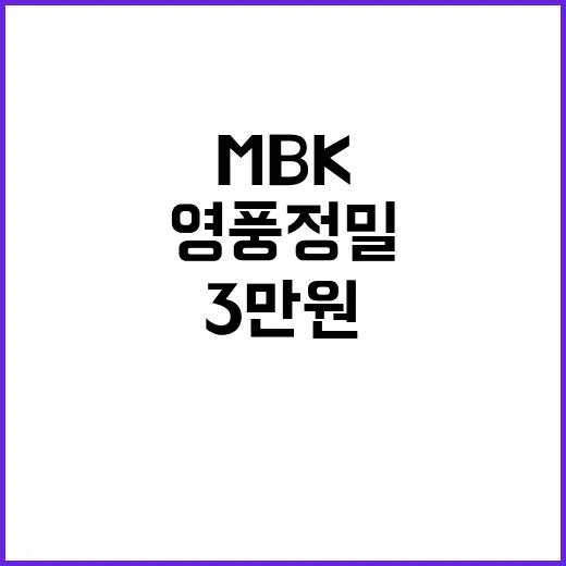 MBK 영풍정밀 공…