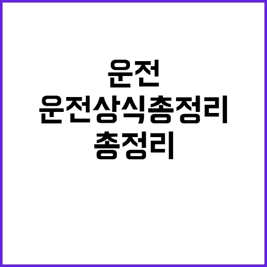 운전상식 총정리 헷갈림 없는 안전 운전 비법!