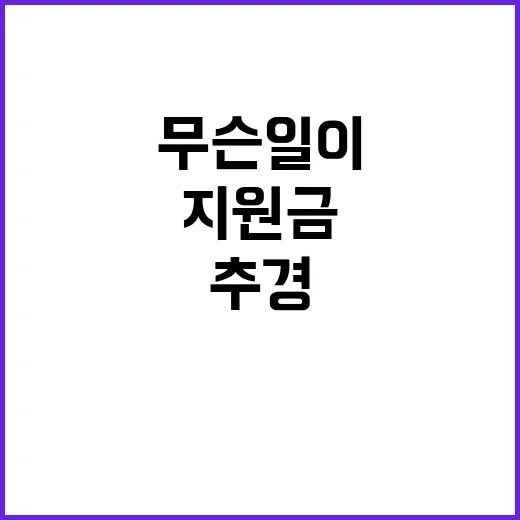 추경 지원금 이재명…