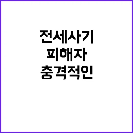 전세사기피해자 15…