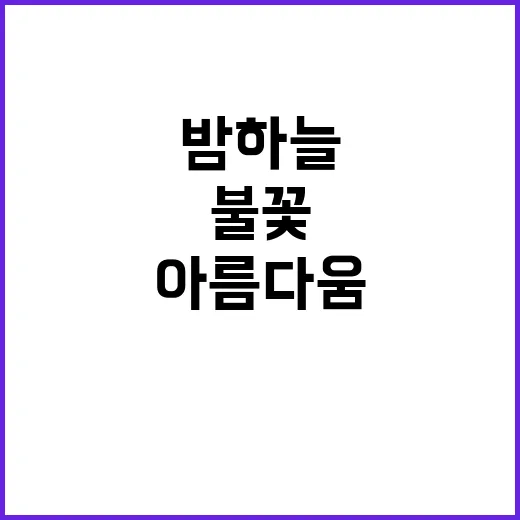 불꽃 밤 하늘의 아…