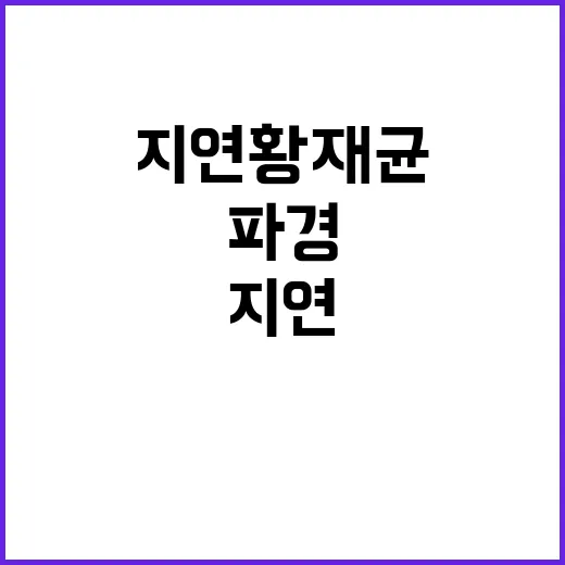 지연 황재균 파경 …