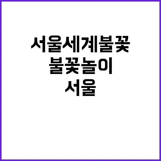 쓰레기 천지 서울 세계 불꽃놀이 후 충격 현장!