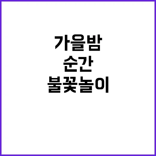 불꽃놀이 가을밤의 …