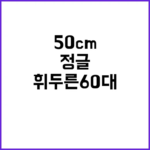 정글 50cm 휘두…