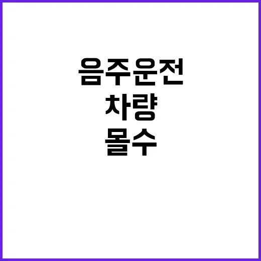 몰수 차량 100대…