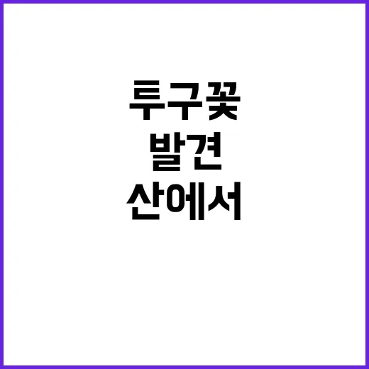 투구꽃 산에서 발견…